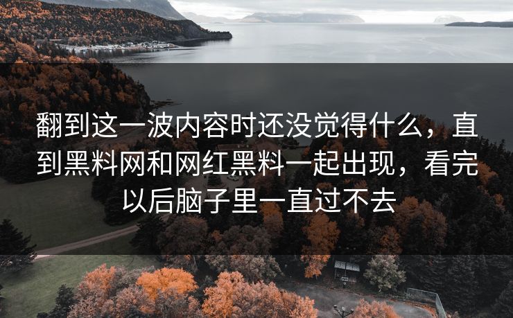 翻到这一波内容时还没觉得什么，直到黑料网和网红黑料一起出现，看完以后脑子里一直过不去