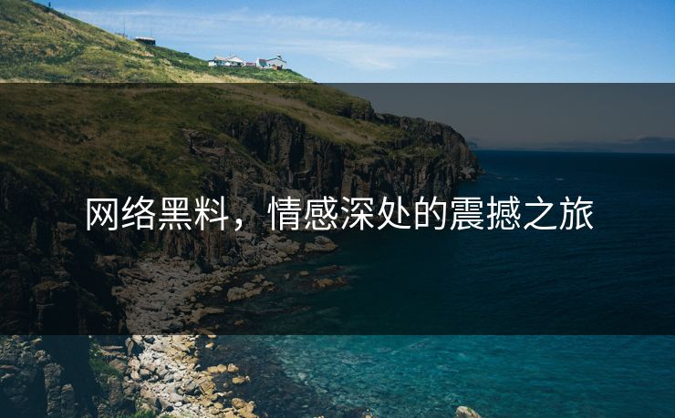 网络黑料，情感深处的震撼之旅  第1张
