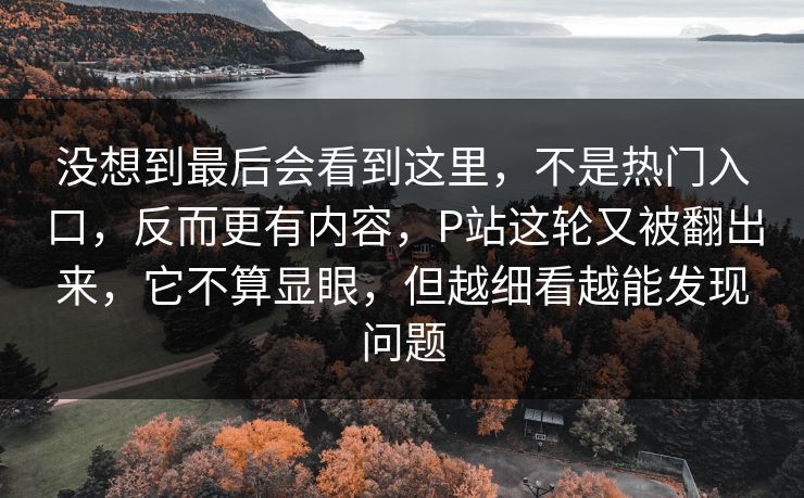没想到最后会看到这里，不是热门入口，反而更有内容，P站这轮又被翻出来，它不算显眼，但越细看越能发现问题  第1张