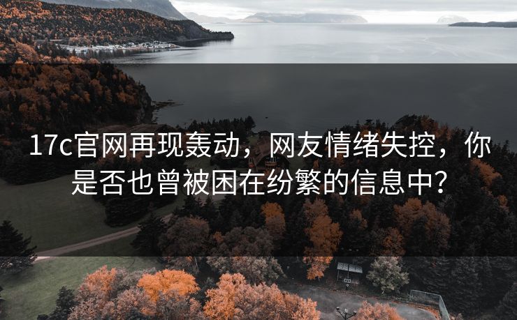 17c官网再现轰动，网友情绪失控，你是否也曾被困在纷繁的信息中？